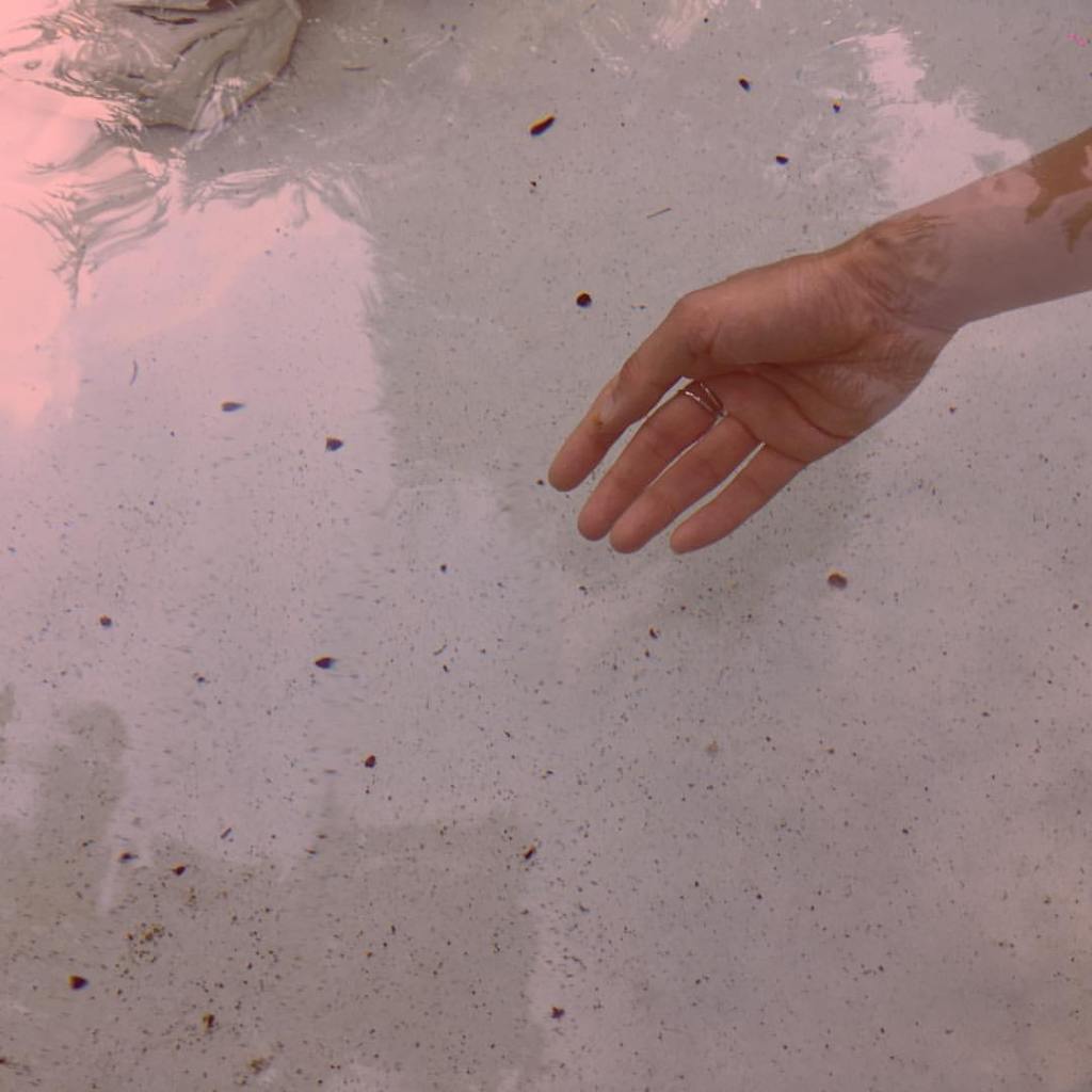 нели станева