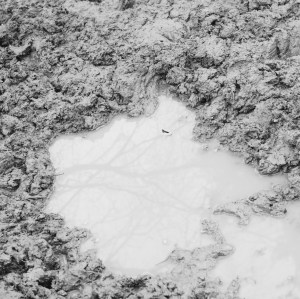 нели станева, поезия, фотография, сън