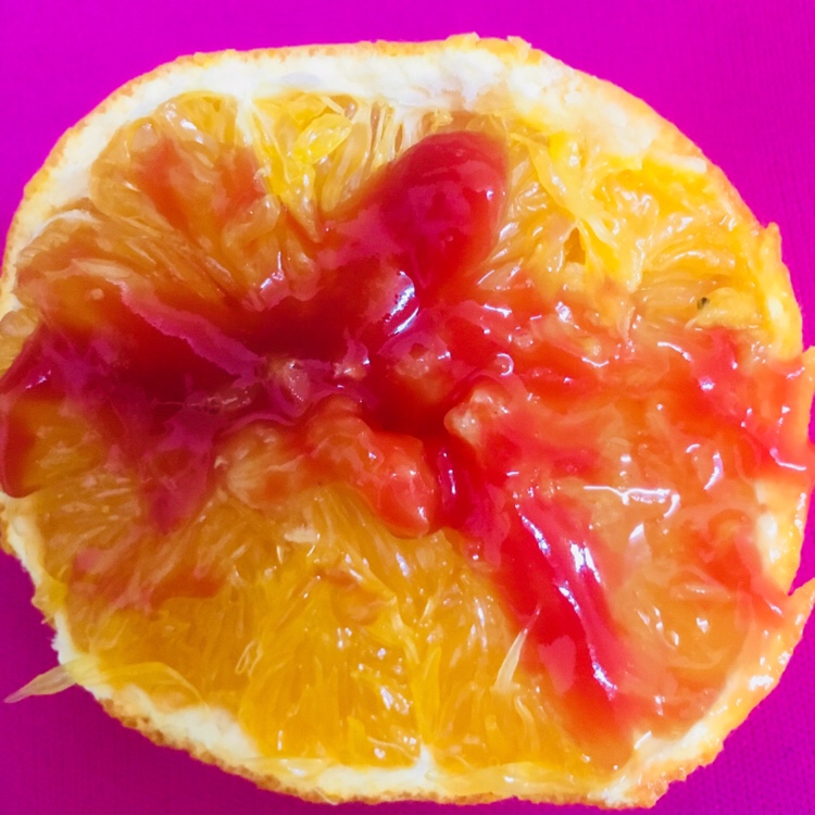 нели станева