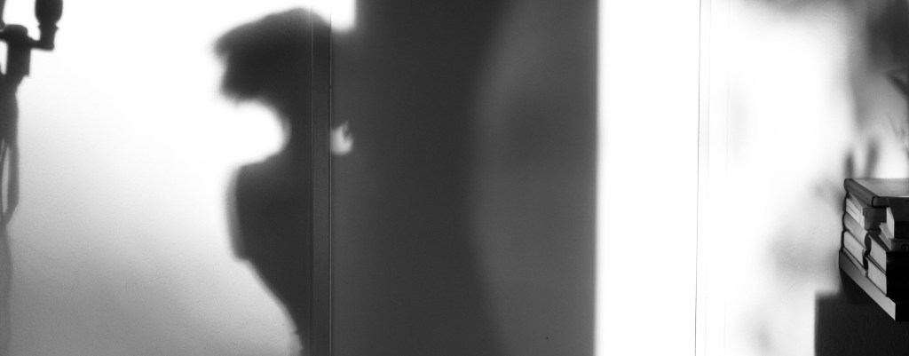 нели станева