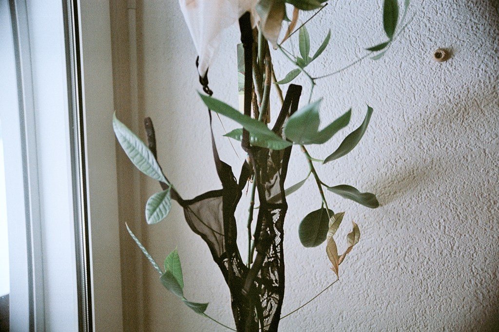 Нели Станева