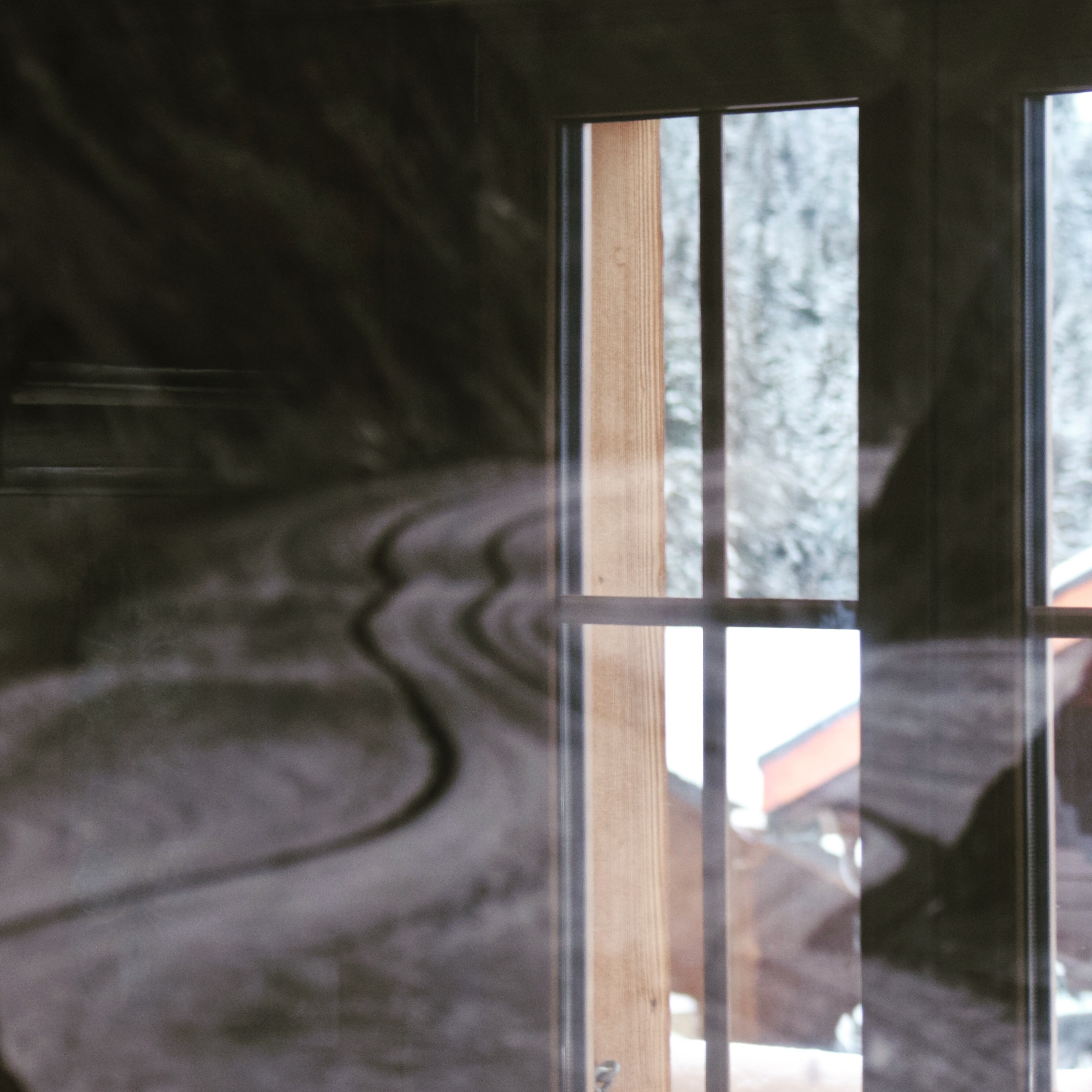 Нели Станева