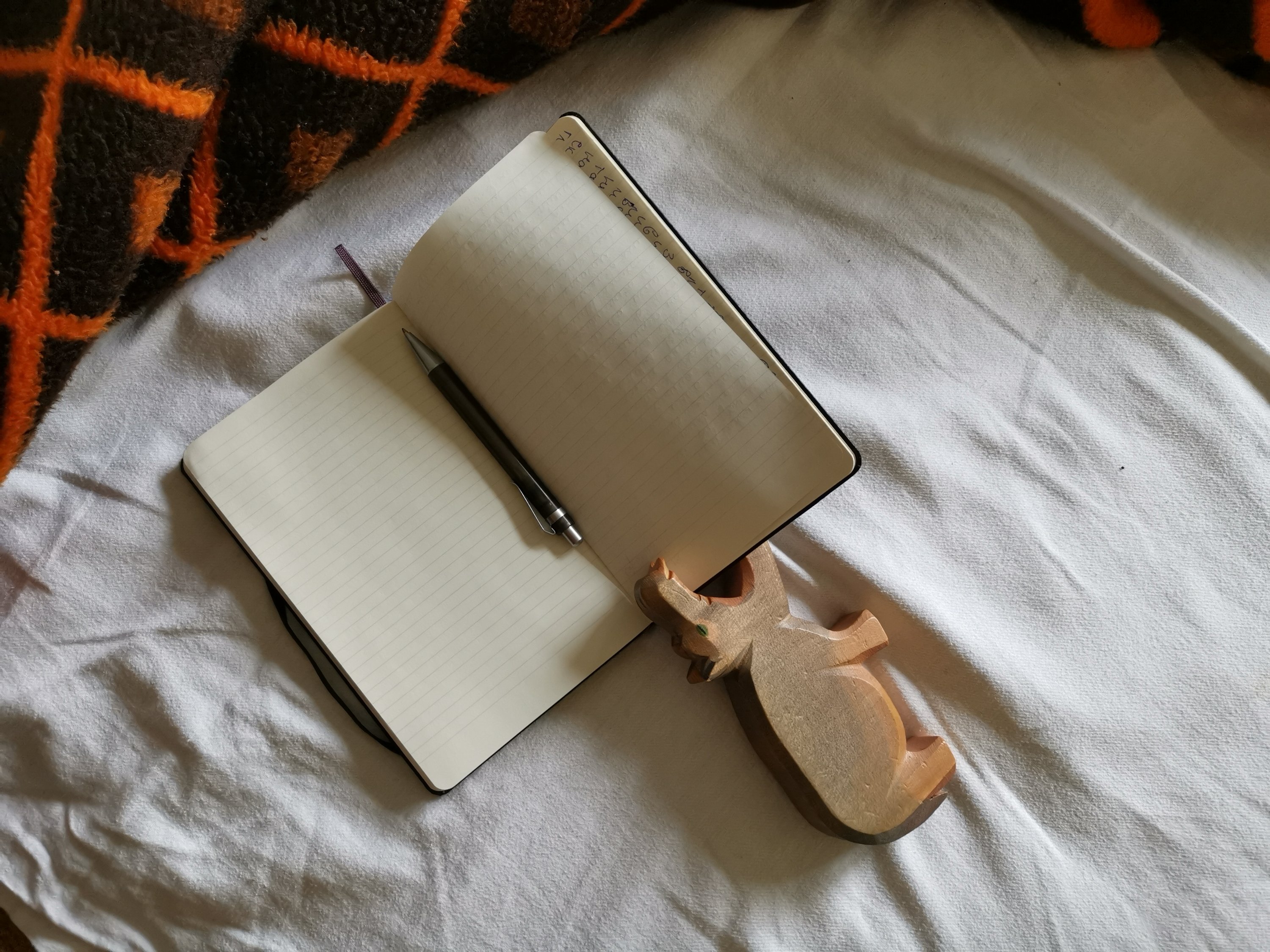 Нели Станева дневник