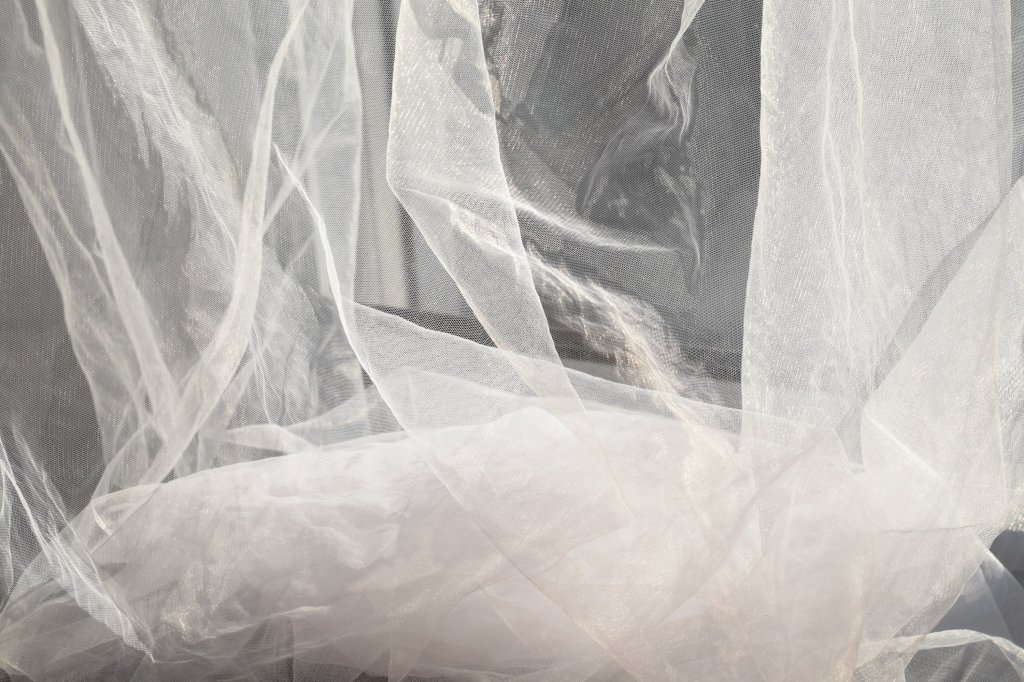 нели станева автор