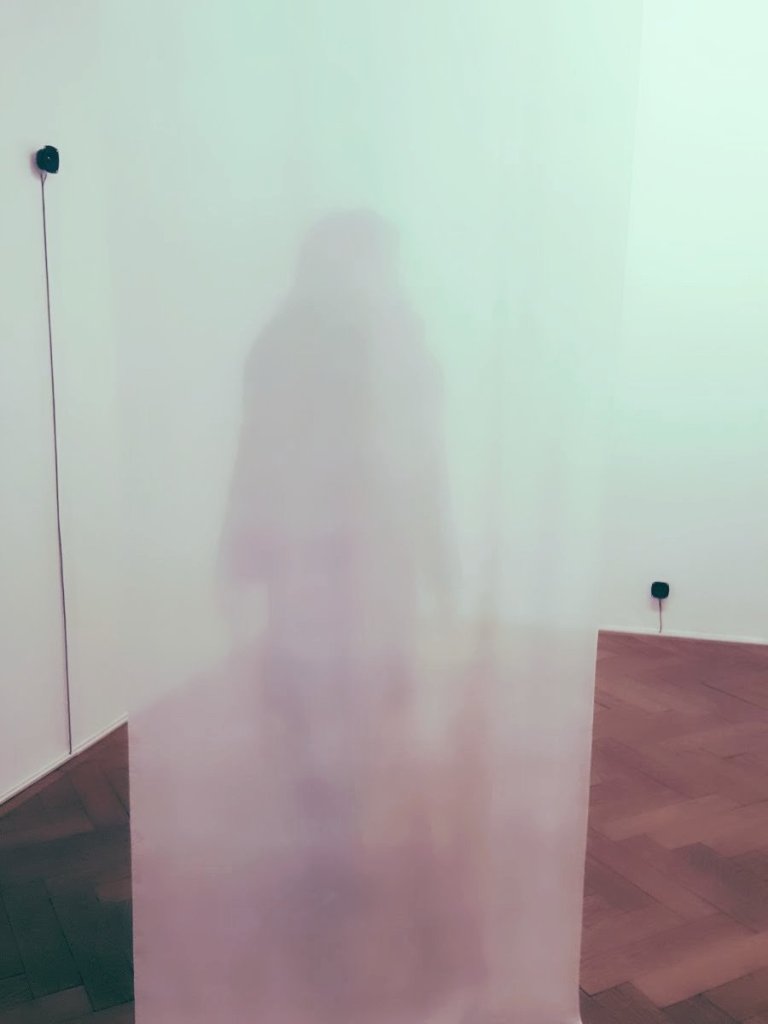 нели станева